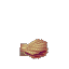 Coral Seashell