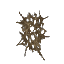 Scarak Spit Clump