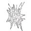Spiderweb