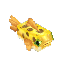 Pufferfish