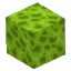Poison