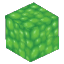 Slime
