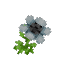Linen Weed