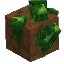 Thorium Ore - Dry Mud