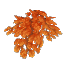 Autumn Leaves