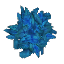 Azure Leaves