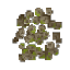 Barnacles