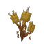 Sandthorn