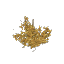 Arid Bramble