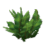 Jungle Bush