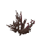 Winter Berry Bush