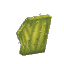 Small Flat Cactus