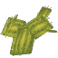 Large Flat Cactus