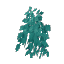 Camphor Leaves