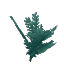 Cedar Leaves