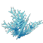 Cyan Coral Bush