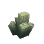 Gray Bracket Coral