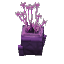 Pink Fan Coral