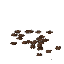 Mature Cauliflower