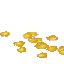 Mature Corn