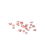 Blood Leaf Seeds