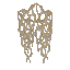 Red Mushroom Mycelium
