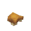 Brown Common Mushroom