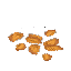 Mature Pumpkin