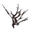 Dead Leaves