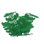 Wet Fern