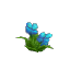 Cyan Hibiscus