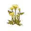 Hemlock
