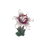White Orchid
