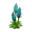 Delphinium