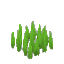 Grass