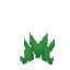 Short Jungle Grass