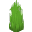 Overgrown Sharp Grass