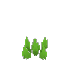 Short Sharp Grass