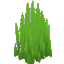 Wild Sharp Grass