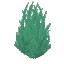 Wild Wet Grass