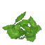 Jungle Floor Leaves