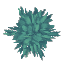 Blue Fig Leaves