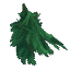 Fir Leaves