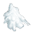 Snowy Fir Leaves