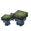Spotted Green Cap Mushroom