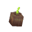 Mature Onions