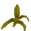 Arid Palm Leaves