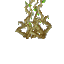 Hanging Cave Roots