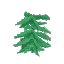 Seaweed - Middle