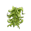 Winter Seaweed Stack